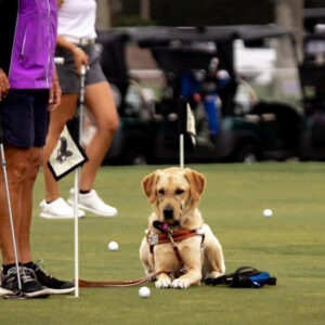 #SeeLikeMav Charity Golf Tournament Golf Practice Facility Sponsorship Luna