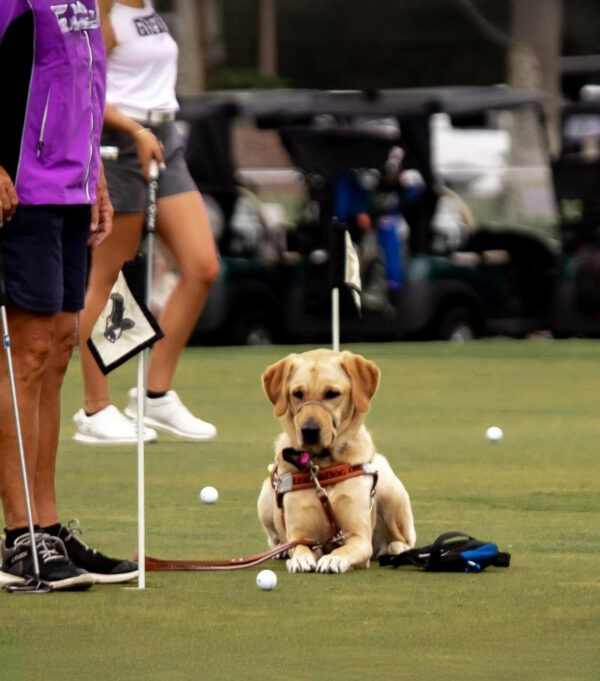 #SeeLikeMav Charity Golf Tournament Golf Practice Facility Sponsorship Luna